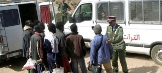 36417e6dff6cbea50ad50fb7448cca1c_thumb_565